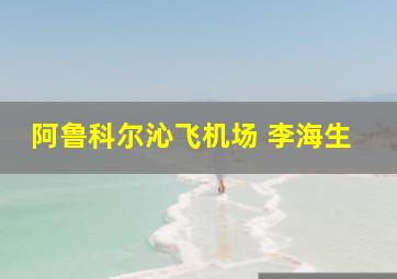 阿鲁科尔沁飞机场 李海生